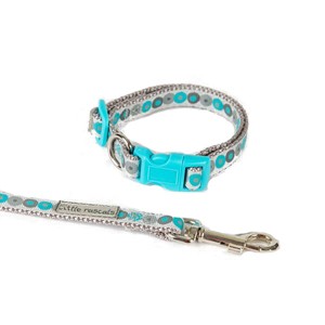PUPPY COLLAR AND LEAD SET